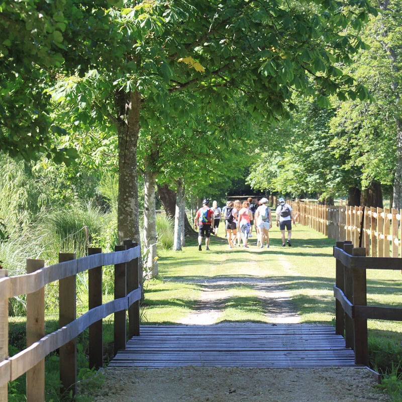 Free activities - Domaine-de-Dampierre